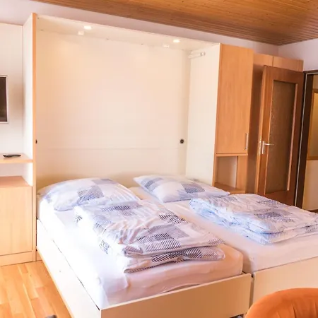 Haus Schwoerer דירה הגנאו