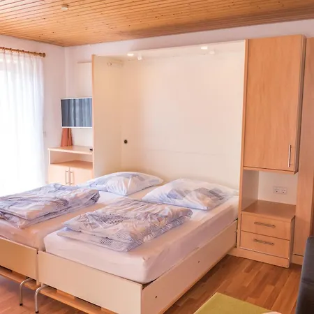 Haus Schwoerer דירה הגנאו