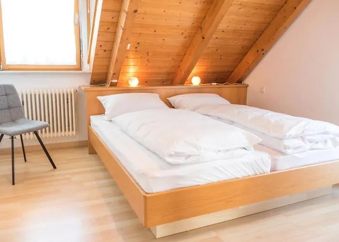 Haus Schwoerer * ハーグナウ