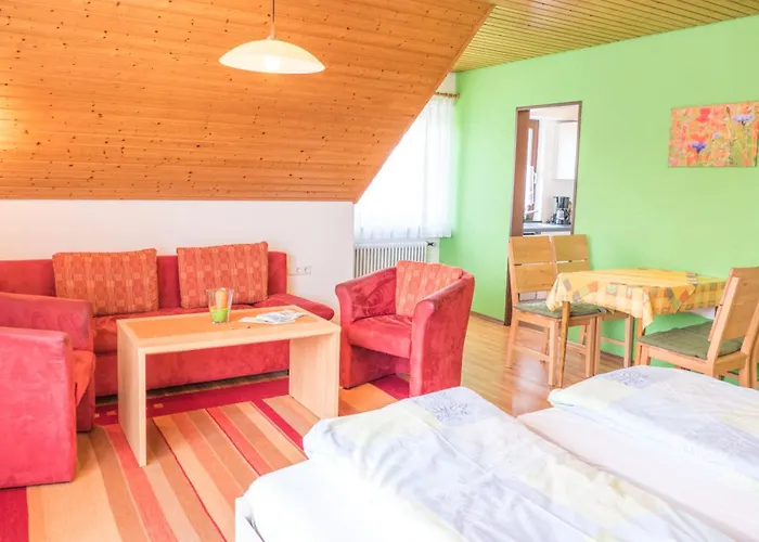 Haus Schwoerer * ハーグナウ