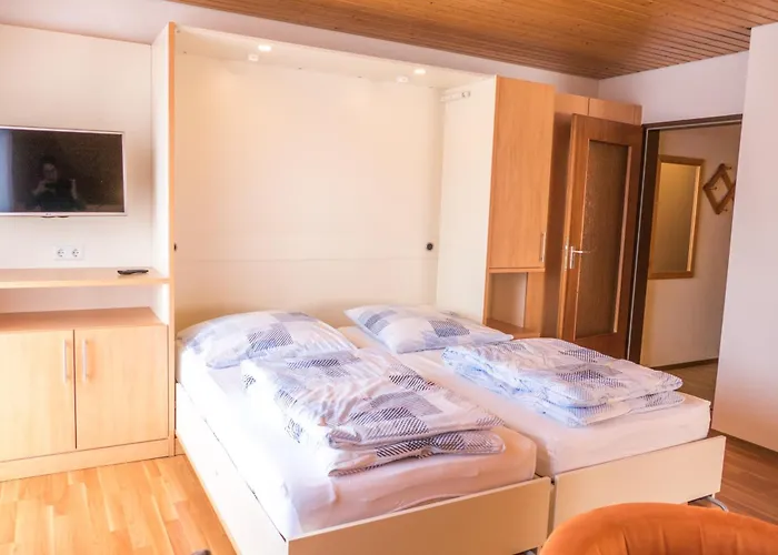 Haus Schwoerer アパート ハーグナウ