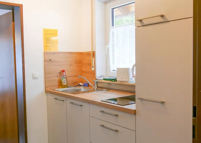 Haus Schwoerer ハーグナウ