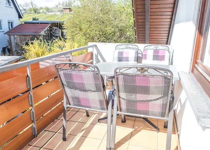 Haus Schwoerer * ハーグナウ